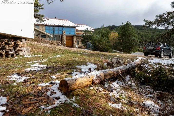 Galer&iacute;a: despu&eacute;s de la primera nevada