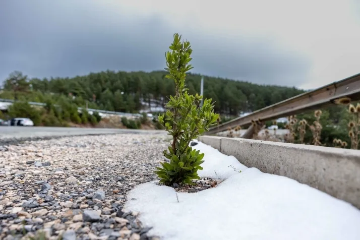 Galer&iacute;a: despu&eacute;s de la primera nevada