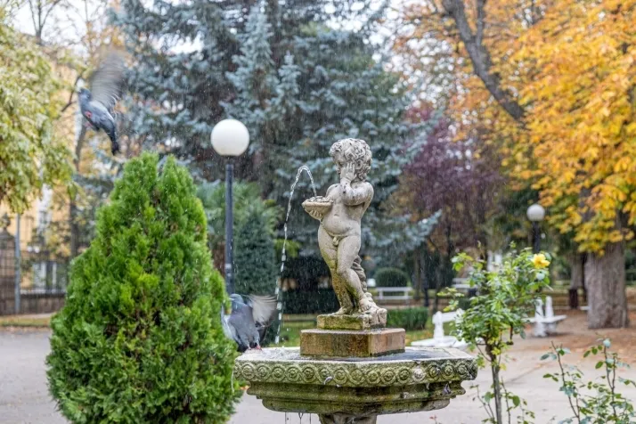 Un inspirador paseo por la Soria lluviosa c&aacute;mara de fotos en mano