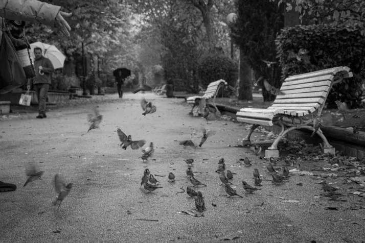 Un inspirador paseo por la Soria lluviosa c&aacute;mara de fotos en mano