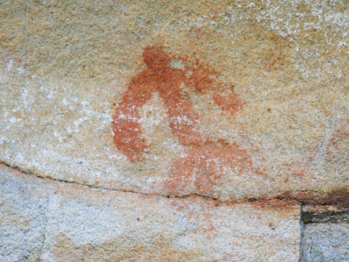 Castilla y León acoge la Asamblea Internacional Caminos de Arte Rupestre