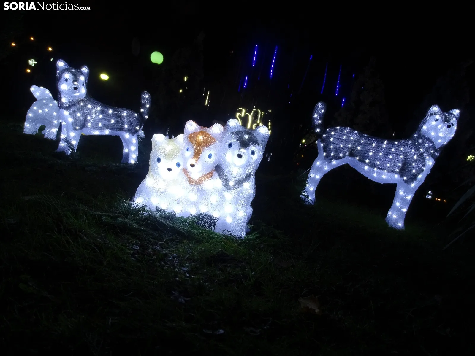 Una imagen del zoo esta tarde-noche de miércoles. /SN