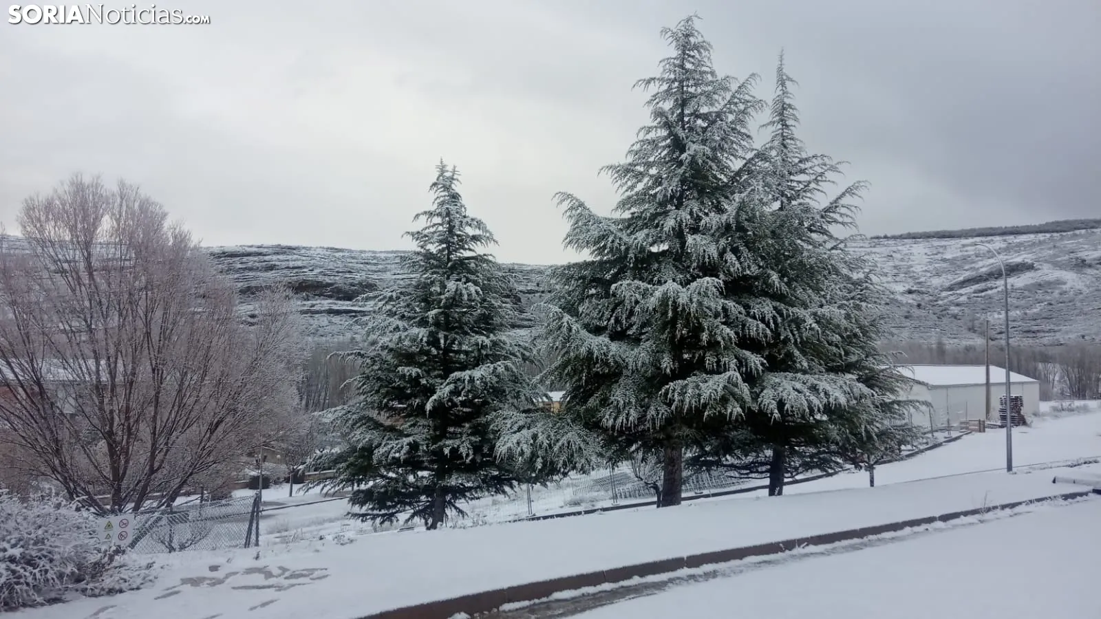 La nieve en San Pedro Manrique/ Guillermo Sierra Iglesias.