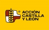 Foto 1 - Jóvenes CyL cambia su nombre a Acción Castilla y León y presenta sus objetivos contra la despoblación