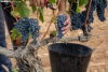 Foto 1 - San Esteban licita parcelas para viñedos en Rejas en un momento "dulce" para la Ribera del Duero soriana