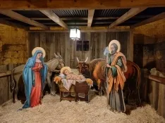 Foto 5 - El Burgo brilla con la Navidad