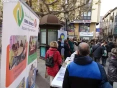 Una imagen de la concentración para la lectura del manifiesto y mesas informativas. /SN