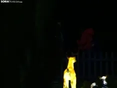 Una imagen del zoo esta tarde-noche de miércoles. /SN