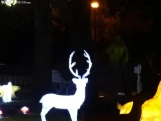 Una imagen del zoo esta tarde-noche de miércoles. /SN