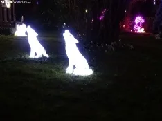 Una imagen del zoo esta tarde-noche de miércoles. /SN