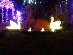 Una imagen del zoo esta tarde-noche de miércoles. /SN