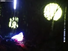 Una imagen del zoo esta tarde-noche de miércoles. /SN