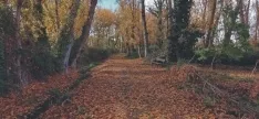 Imágenes de Soria Paso a Paso.