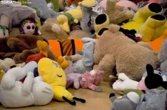 Lluvia de peluches Sporting Santo Domingo. /SN