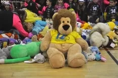 Lluvia de peluches Sporting Santo Domingo. /SN