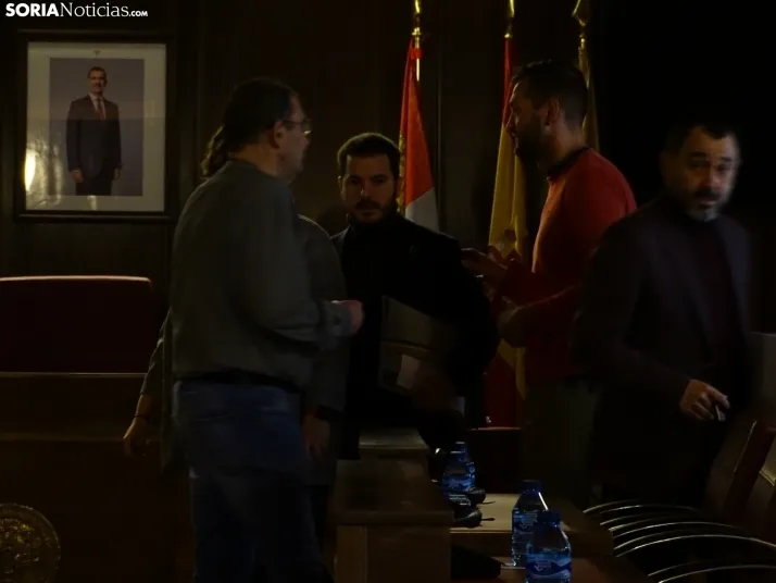 Una imagen de la sesión plenaria. /SN