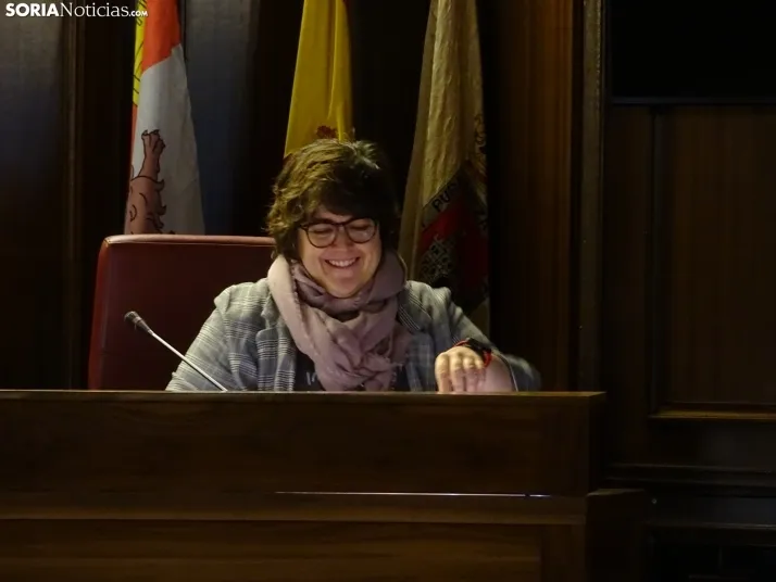 Una imagen de la sesión plenaria. /SN
