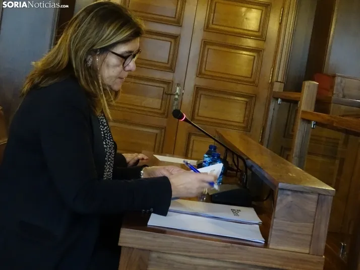 Una imagen de la sesión plenaria. /SN