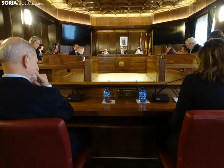 Una imagen de la sesión plenaria. /SN