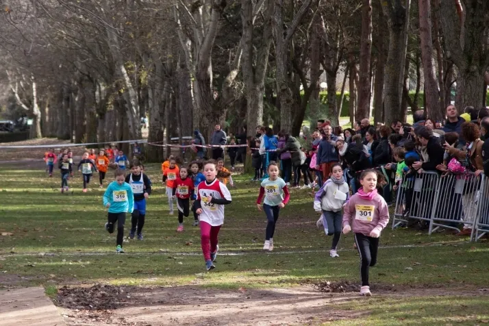 Im&aacute;genes: cientos de escolares en el cross Alameda de Cervantes