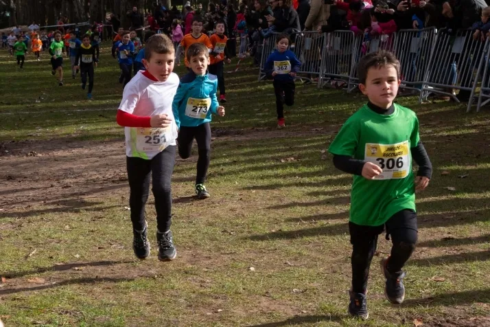 Im&aacute;genes: cientos de escolares en el cross Alameda de Cervantes