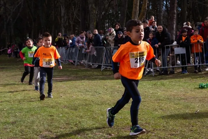 Im&aacute;genes: cientos de escolares en el cross Alameda de Cervantes