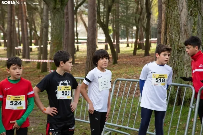 Im&aacute;genes: cientos de escolares en el cross Alameda de Cervantes
