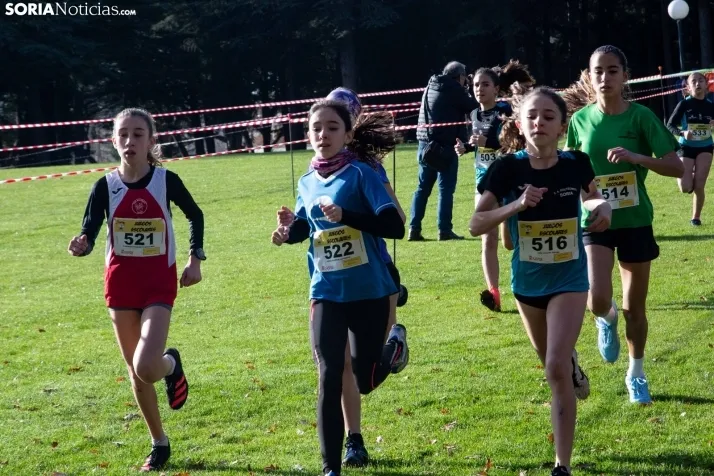 Im&aacute;genes: cientos de escolares en el cross Alameda de Cervantes