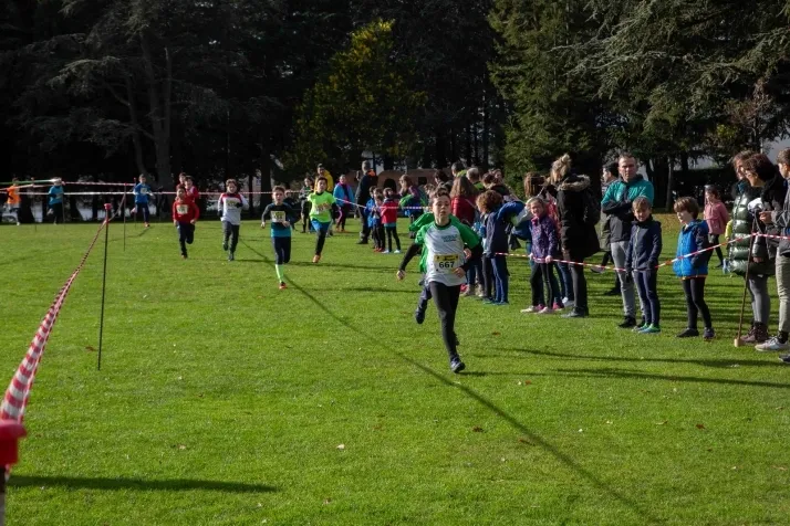 Im&aacute;genes: cientos de escolares en el cross Alameda de Cervantes