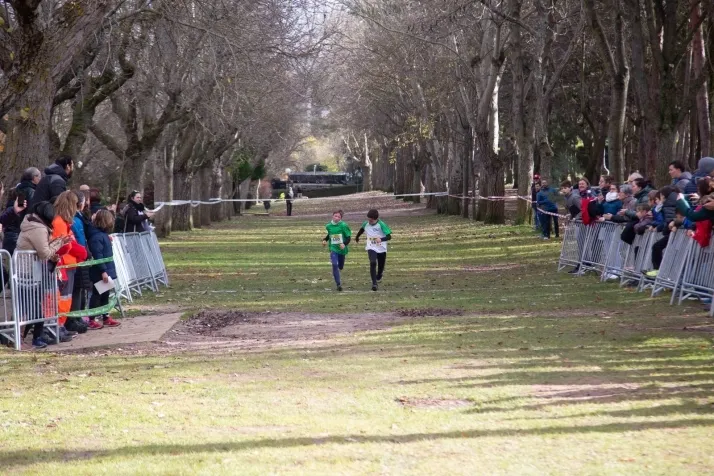 Im&aacute;genes: cientos de escolares en el cross Alameda de Cervantes