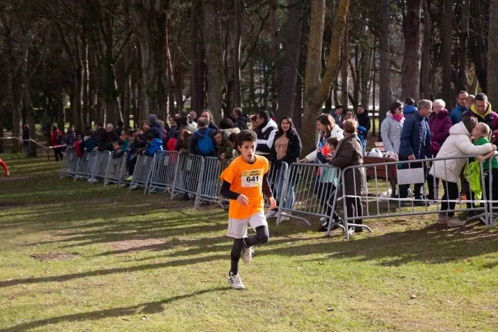 Im&aacute;genes: cientos de escolares en el cross Alameda de Cervantes