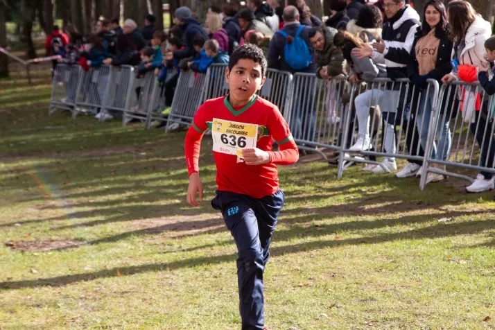 Im&aacute;genes: cientos de escolares en el cross Alameda de Cervantes