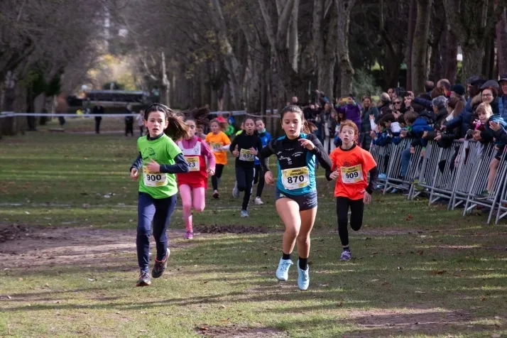 Im&aacute;genes: cientos de escolares en el cross Alameda de Cervantes