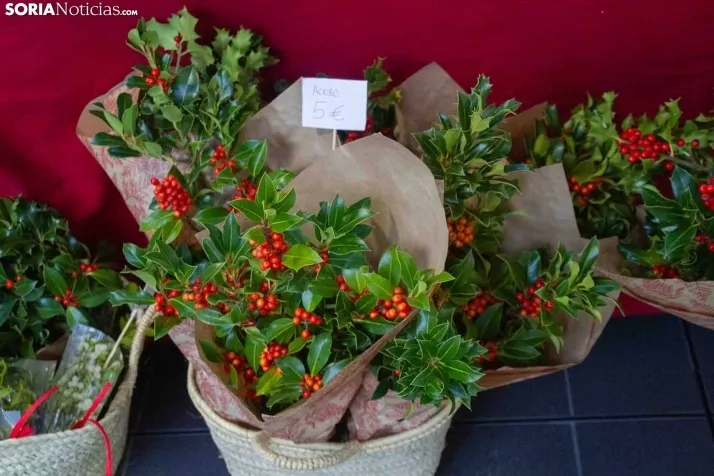 Mercado Artesanal Soria./ Evelyn Amaguaya.