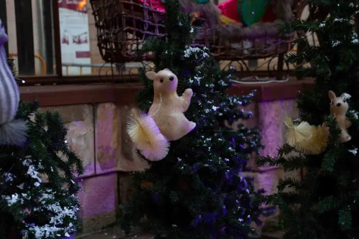 Abre la casa de Pap&aacute; Noel