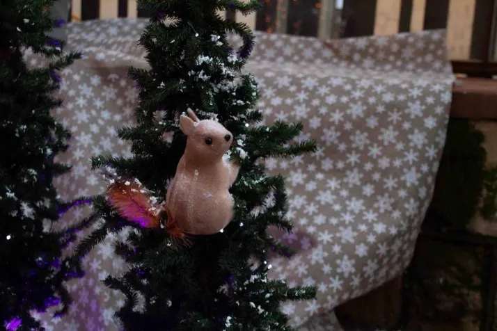 Abre la casa de Pap&aacute; Noel