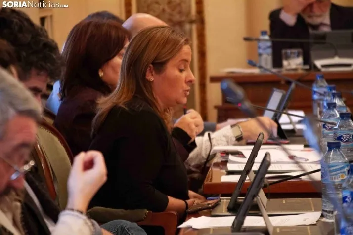 Pleno Diciembre Diputación Provincial. /EAR.