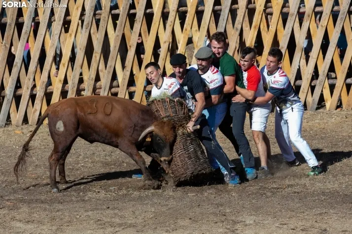 Resumen 2022