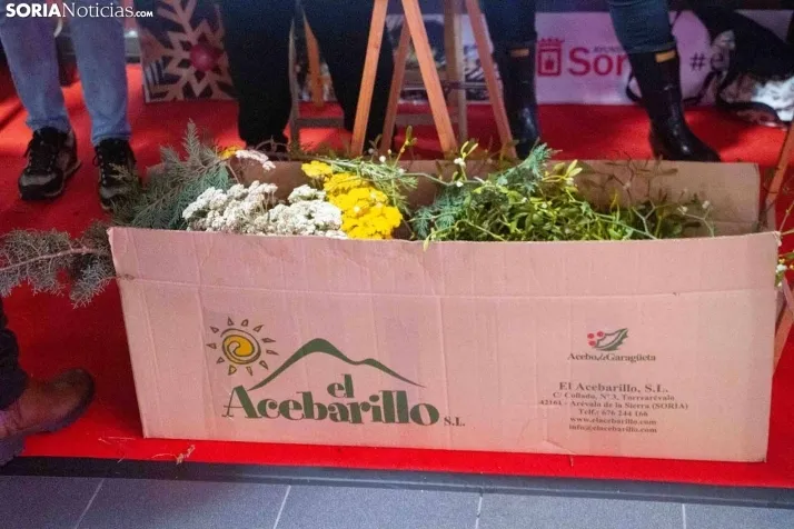 Taller de centros de acebos.