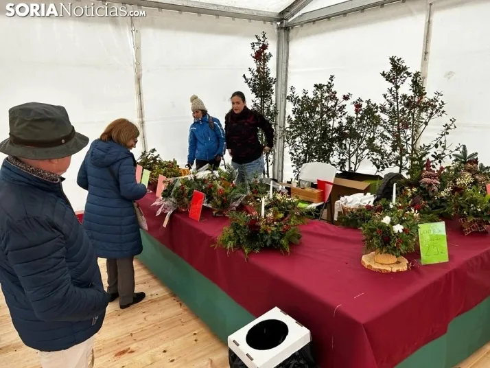 Fotos: arranca la Feria de Acebo en Oncala con mucha expectaci&oacute;n