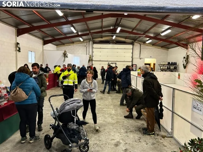 Fotos: arranca la Feria de Acebo en Oncala con mucha expectaci&oacute;n
