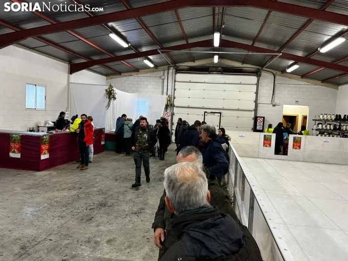 Fotos: arranca la Feria de Acebo en Oncala con mucha expectaci&oacute;n