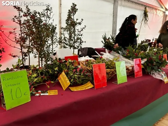 Fotos: arranca la Feria de Acebo en Oncala con mucha expectaci&oacute;n