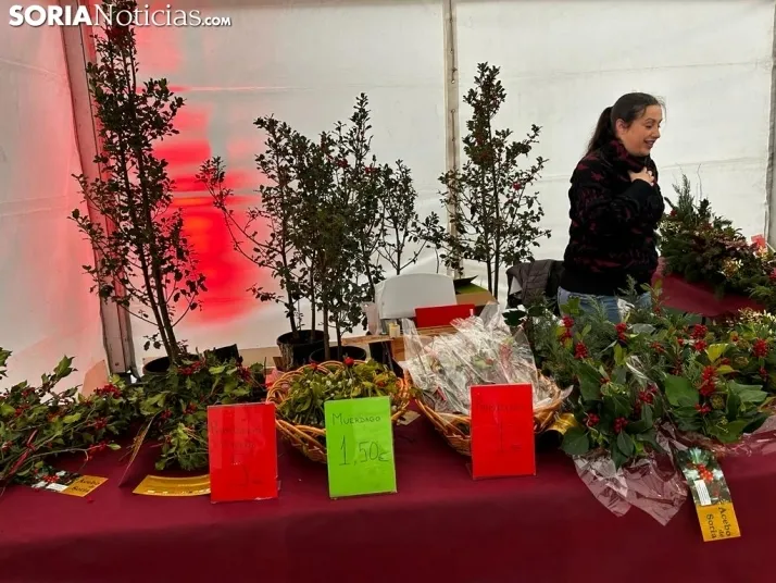 Fotos: arranca la Feria de Acebo en Oncala con mucha expectaci&oacute;n