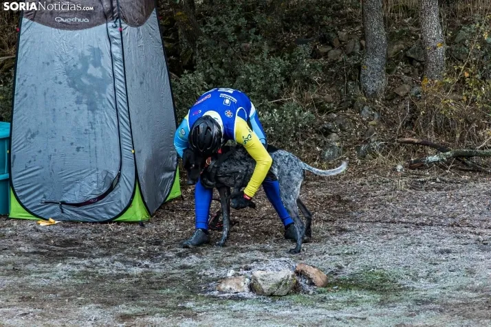 Fotos: &Oacute;lvega vuelve a convertirse en el epicentro nacional del mushing