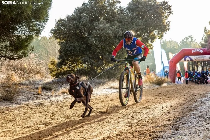 Fotos: &Oacute;lvega vuelve a convertirse en el epicentro nacional del mushing