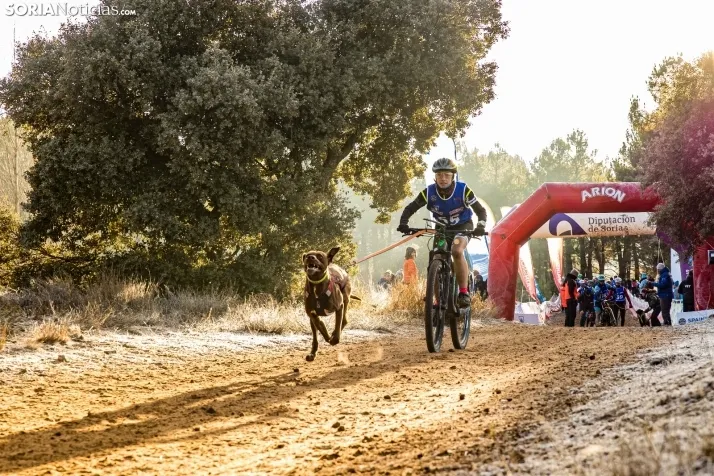 Fotos: &Oacute;lvega vuelve a convertirse en el epicentro nacional del mushing