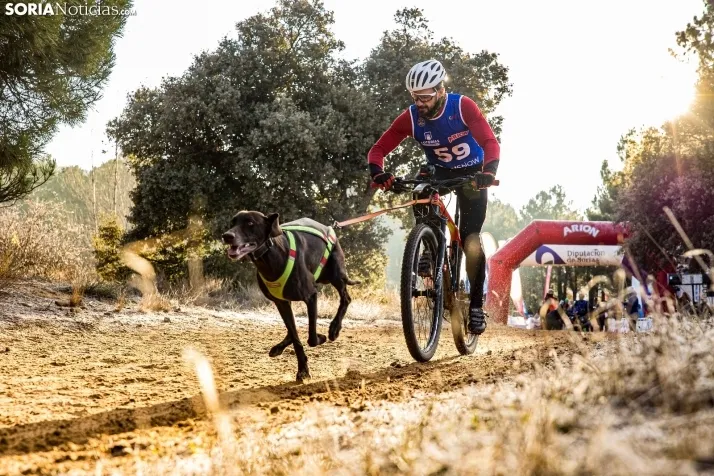 Fotos: &Oacute;lvega vuelve a convertirse en el epicentro nacional del mushing