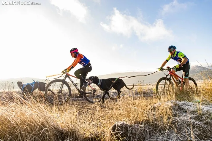 Fotos: &Oacute;lvega vuelve a convertirse en el epicentro nacional del mushing