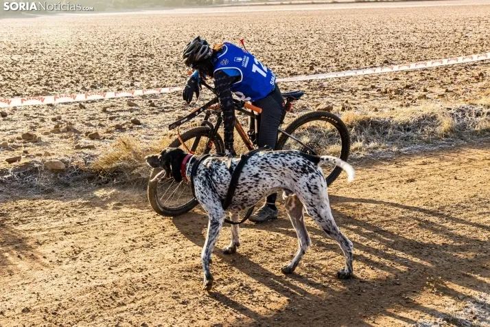 Fotos: &Oacute;lvega vuelve a convertirse en el epicentro nacional del mushing